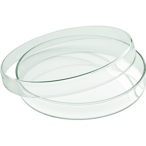 Stiklinė lėkštutė su dangteliu Playground ø15cm, permatoma