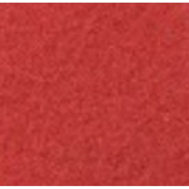 Padas poliravimui valymo mašinai DRYFT raudonos sp.